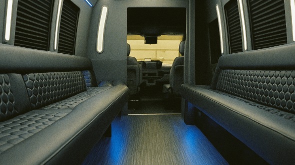 bakersfield 28 passenger party bus rental